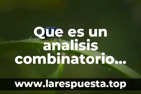 Que es un analisis de arc 4 Que es un analisis combinatorio en logica