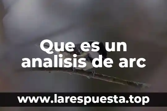 Qué es un análisis de perfil hormonal femenino 8 Que es un analisis de arc