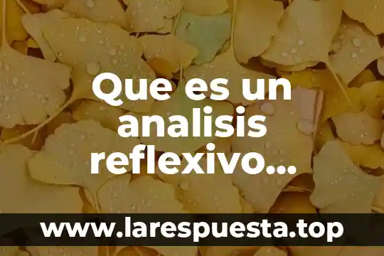 Qué es un análisis crítico de textos 3 Que es un analisis reflexivo ejemplo