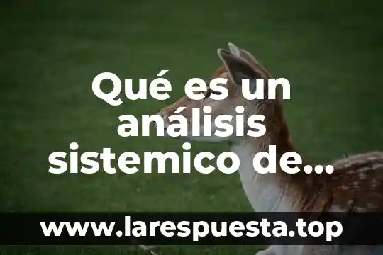 Qué es un análisis sistemico de un objeto