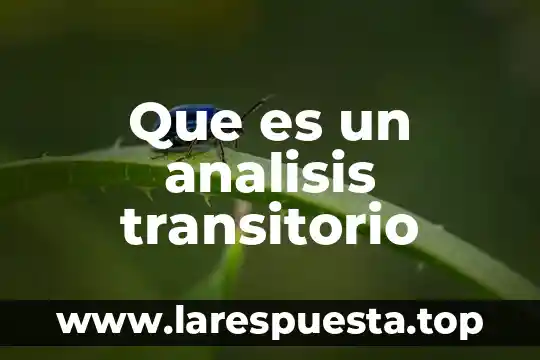 Qué es un análisis crítico de textos 5 Que es un analisis transitorio