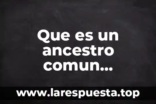 Que es factor comun de un polinomio y algunos ejemplos 5 Que es un ancestro comun definicion