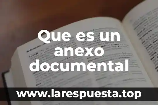 Que es un anexo documental