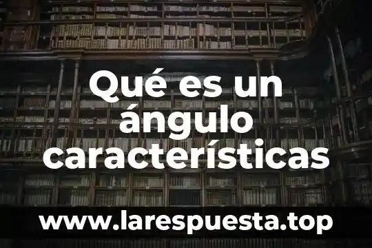 Que es e learning caracteristicas 8 Qué es un ángulo características