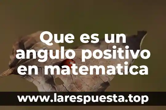 Que es una antologia de matematica definición 8 Que es un angulo positivo en matematica
