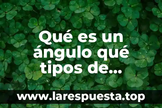 Qué es una pulsión y cuantos tipos hay 3 Qué es un ángulo qué tipos de ángulos hay