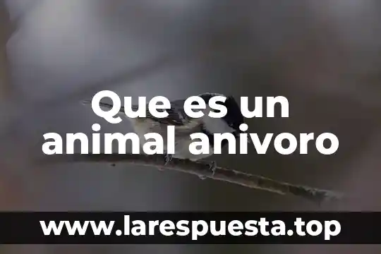 Que es un animal anivoro