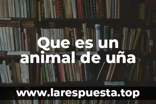 Que es un capulin animal 8 Que es un animal de uña