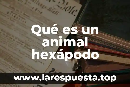 Qué es un animal hexápodo