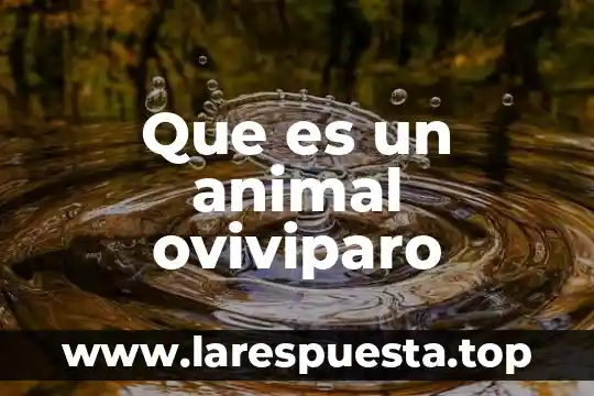 Que es un animal oviviparo
