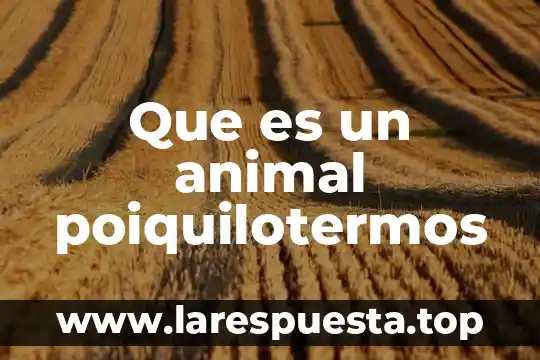Que es un animal poiquilotermos