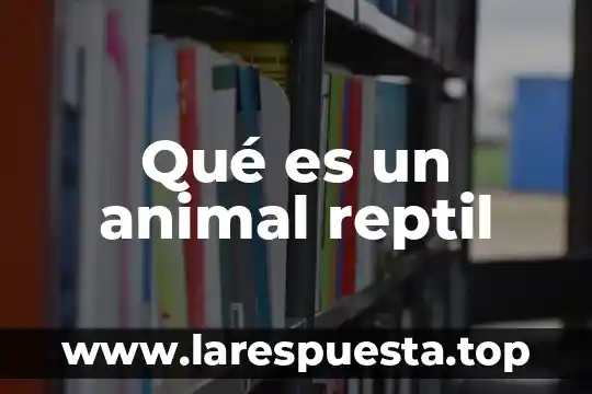 Qué es un animal reptil
