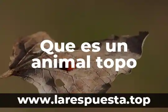 Que es un capulin animal 4 Que es un animal topo
