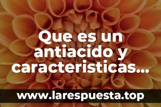 Que es lo que debe tener una base de minecraft 7 Que es un antiacido y caracteristicas que debe tener