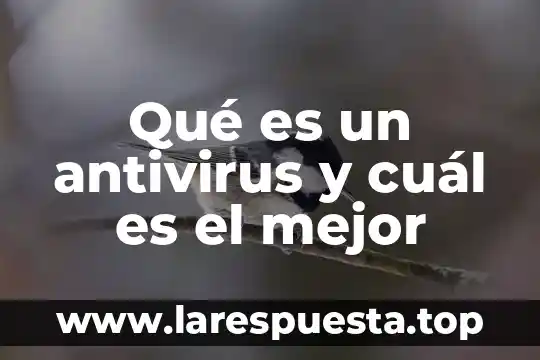 Qué es un antivirus y cuál es el mejor