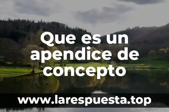 Que es un apendice de concepto