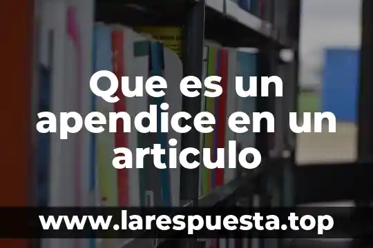 Que es un apendice en un articulo