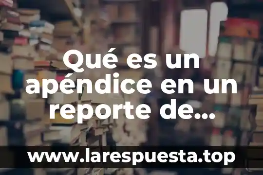 Qué es un apéndice en un reporte de investigación