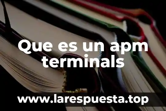 Que es un apm terminals