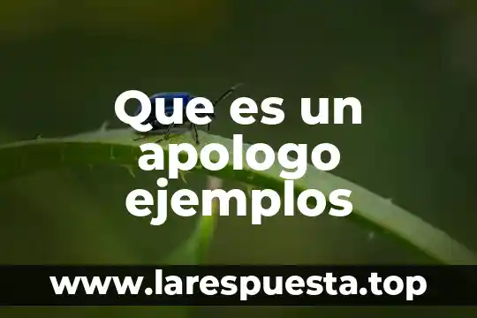Qué es agronegocios y ejemplos 5 Que es un apologo ejemplos