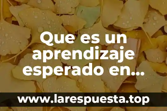 Que es la educacion integral plan de estudios 2011 7 Que es un aprendizaje esperado en curriculo 2011