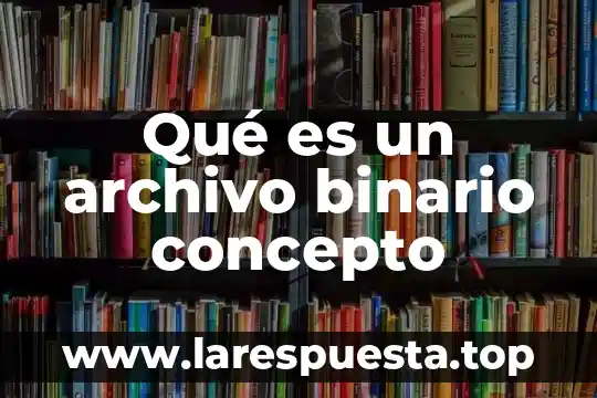 Qué es un archivo binario concepto