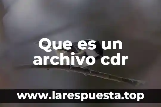 Archivo seto que es 6 Que es un archivo cdr