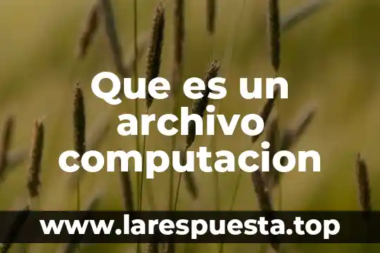 Que es un proceso computacion 3 Que es un archivo computacion