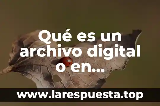 Archivo seto que es 7 Qué es un archivo digital o en informática