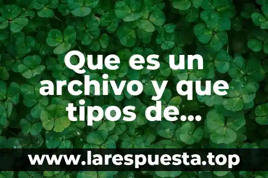 Que es un archivo y que tipos de archivos hay