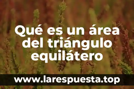 Que es el area de neurologia 3 Qué es un área del triángulo equilátero