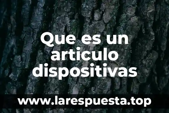 Que es un articulo dispositivas