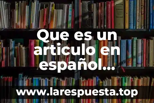 Que es la introduccion de un articulo 4 Que es un articulo en español ejercicios