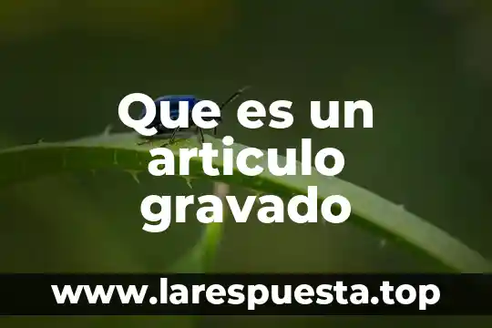 Que es un articulo gravado