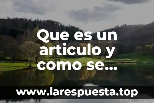 Artículo determinado que es en gramática 5 Que es un articulo y como se indican