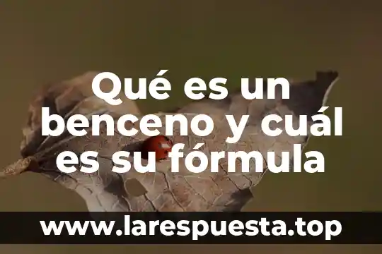 Que es falibilidad significado 6 Qué es un benceno y cuál es su fórmula