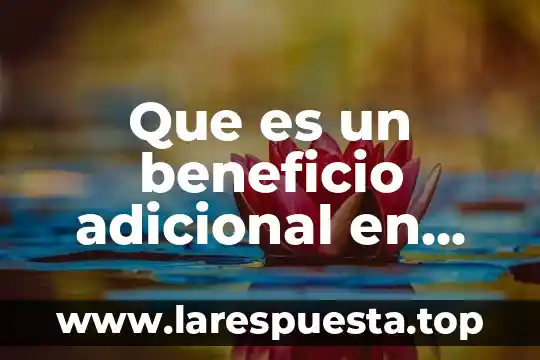 Que es un beneficio cultural 4 Que es un beneficio adicional en seguros