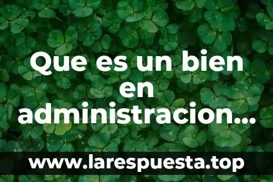Que es un bien en administracion de operaciones