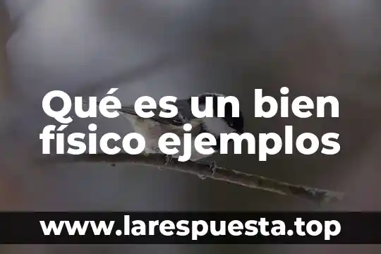 Que es una chaveta definicion 7 Qué es un bien físico ejemplos