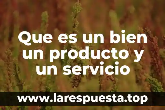 Que es ser bien parecido 8 Que es un bien un producto y un servicio