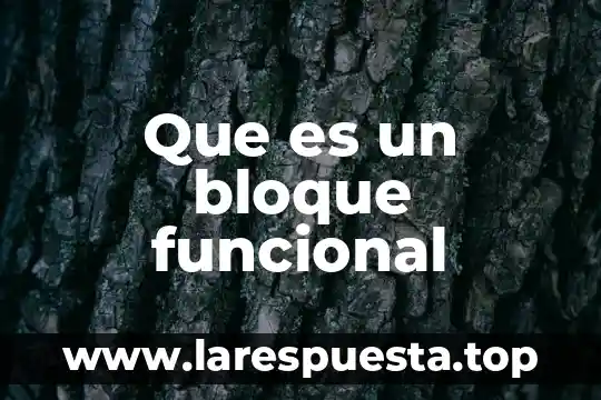 Que es el sincitio funcional 3 Que es un bloque funcional