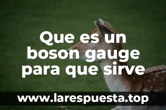 Que es un boson gauge para que sirve