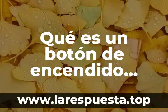 Que es un boton o button en informatica 4 Qué es un botón de encendido general
