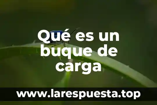 Que es buffer de carga en electroforesis y tipos 4 Qué es un buque de carga