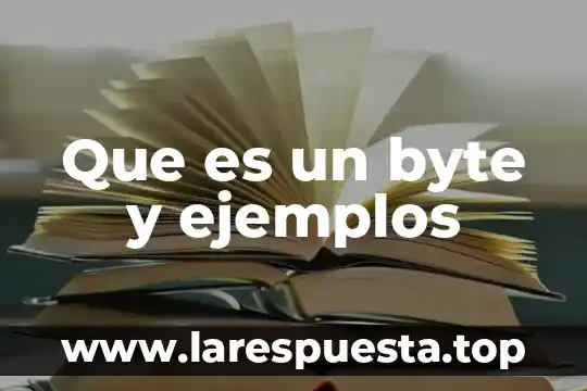 Que es un byte y ejemplos
