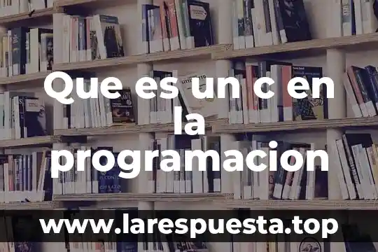 Que es un c en la programacion