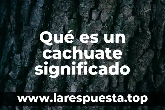 ¿Qué es estupefacto significado? 6 Qué es un cachuate significado