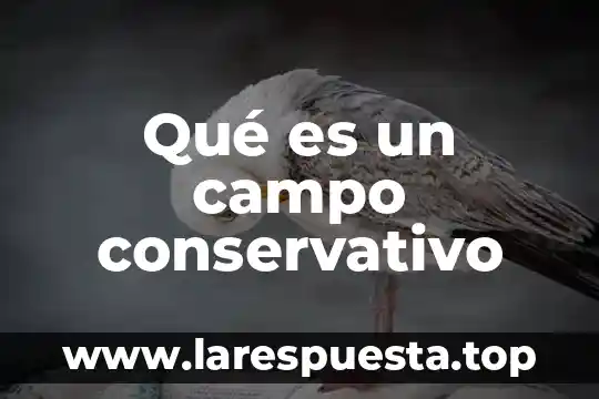 Que es el campo odológico 8 Qué es un campo conservativo