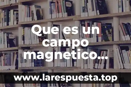 Que es un campo magnetico estable