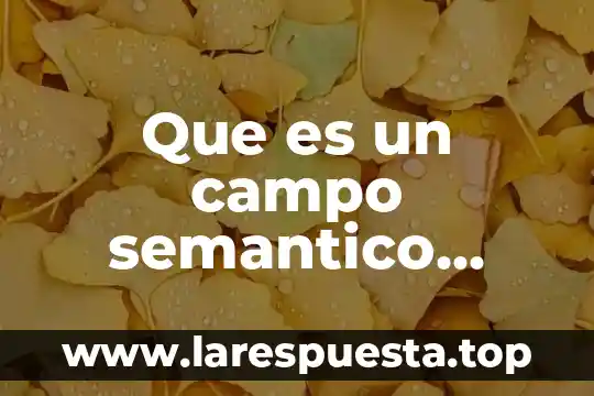 Que es un campo semantico para niños de primaria